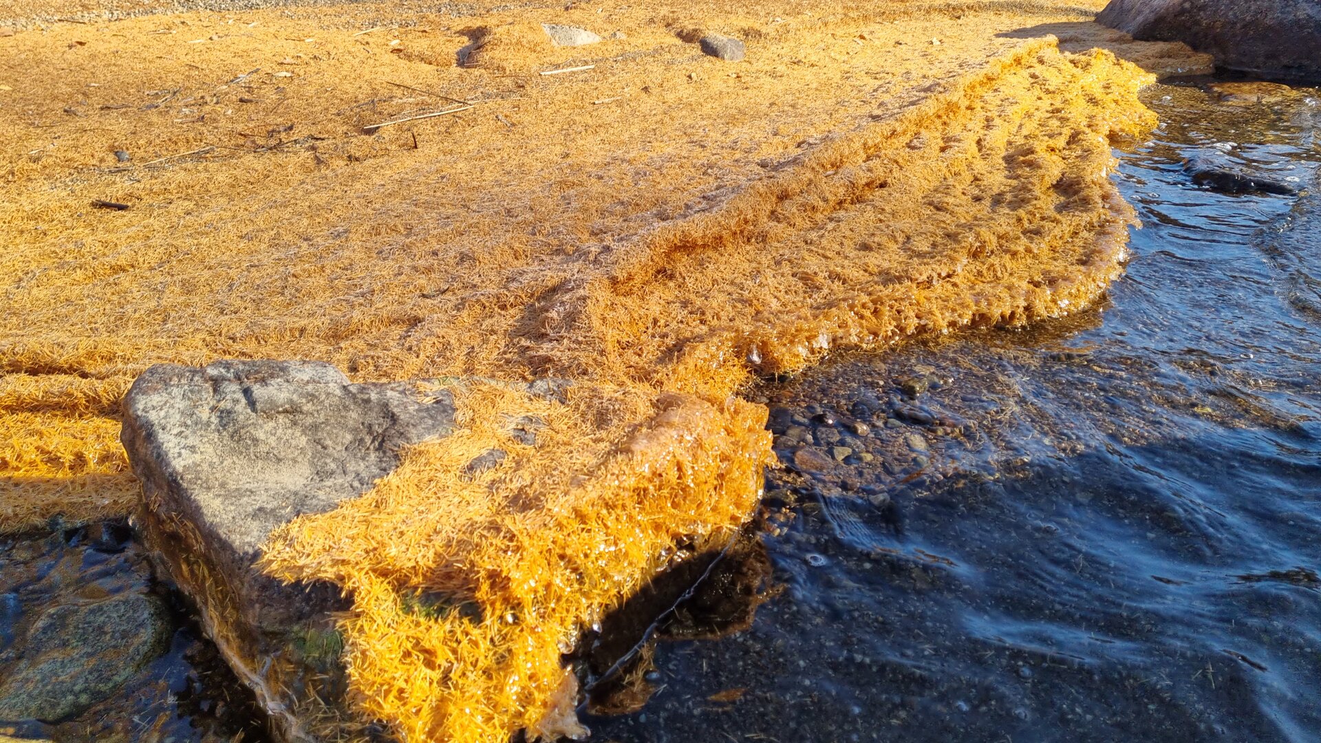 20261010_103335.jpg