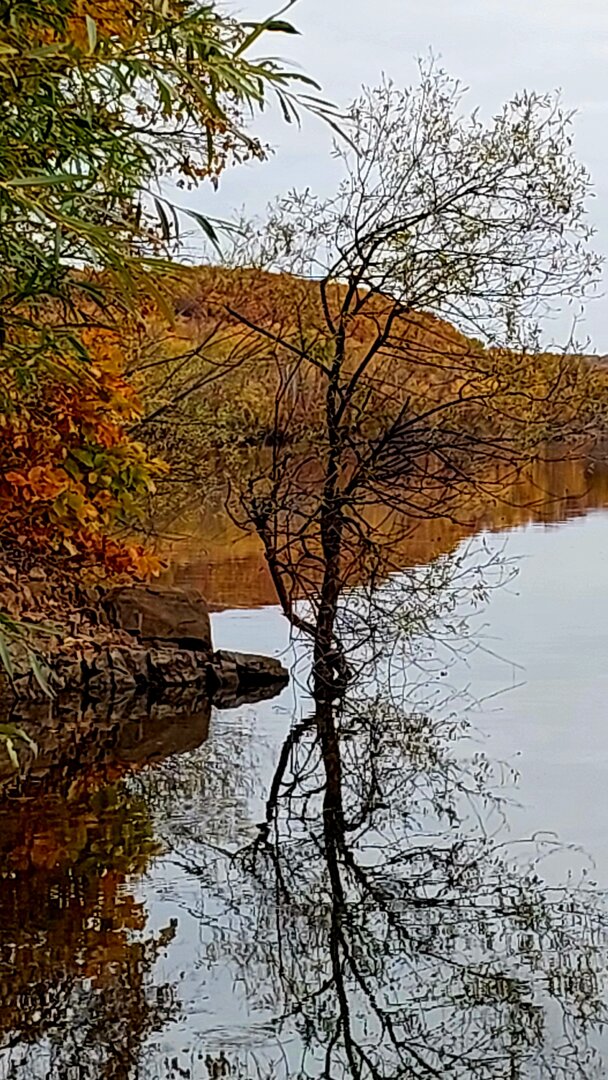 20261010_123810.jpg