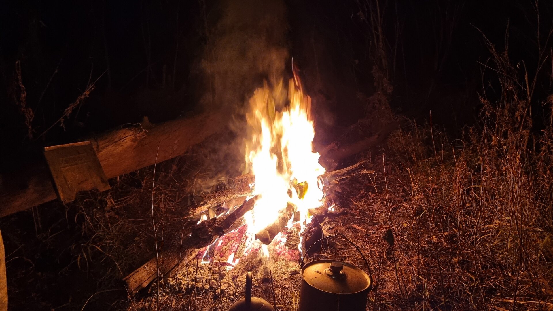 20261010_214129.jpg