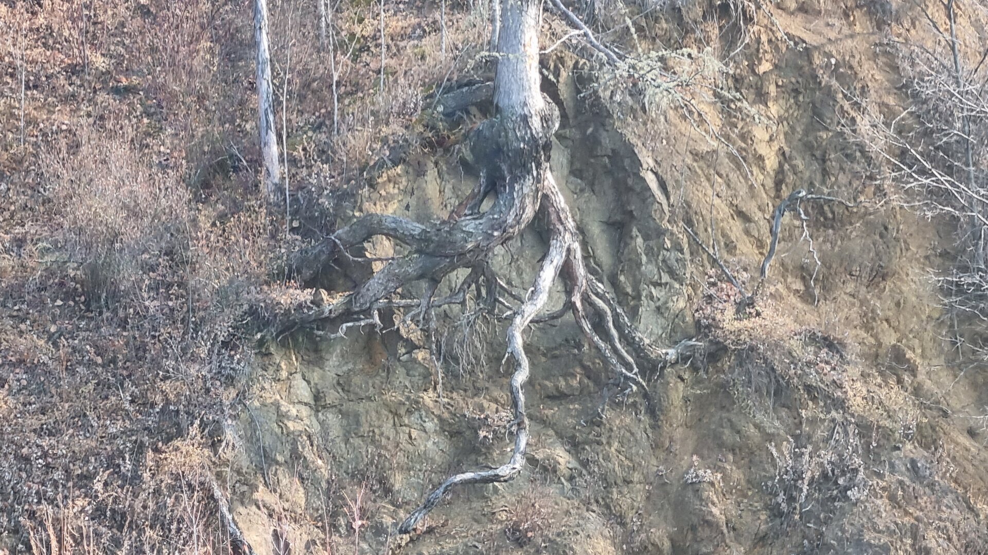 20261012_114711.jpg