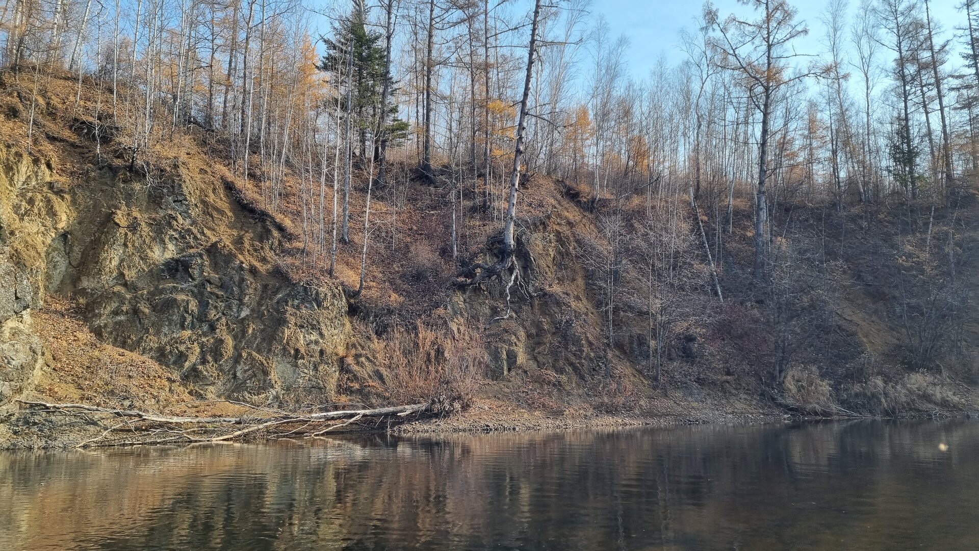 20261012_114719.jpg