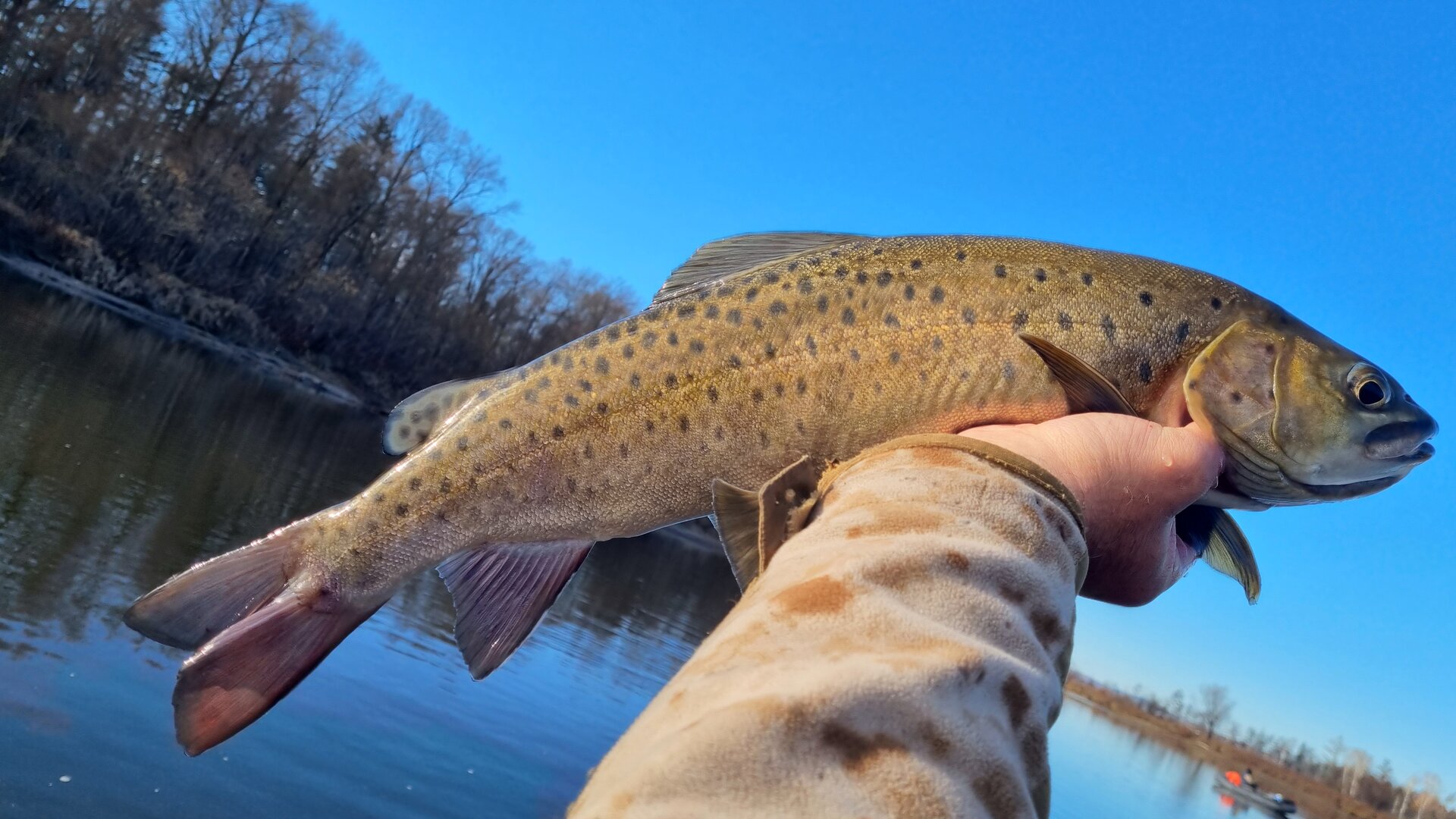 20261014_093639.jpg