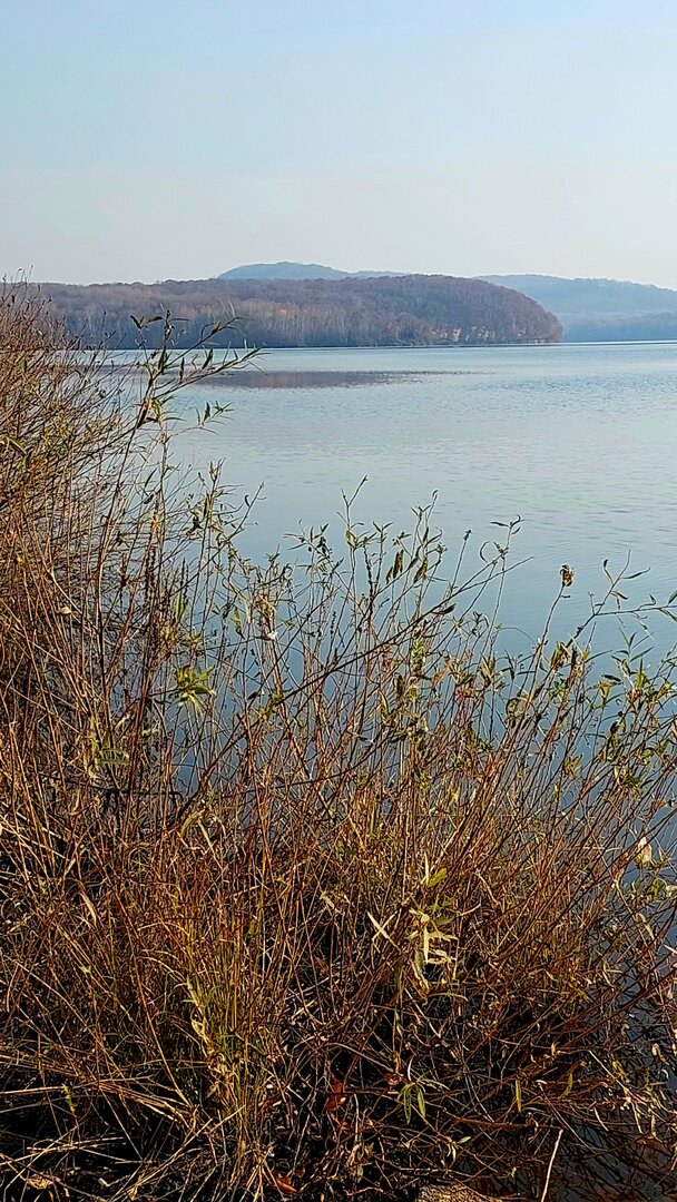 20261017_101207.jpg