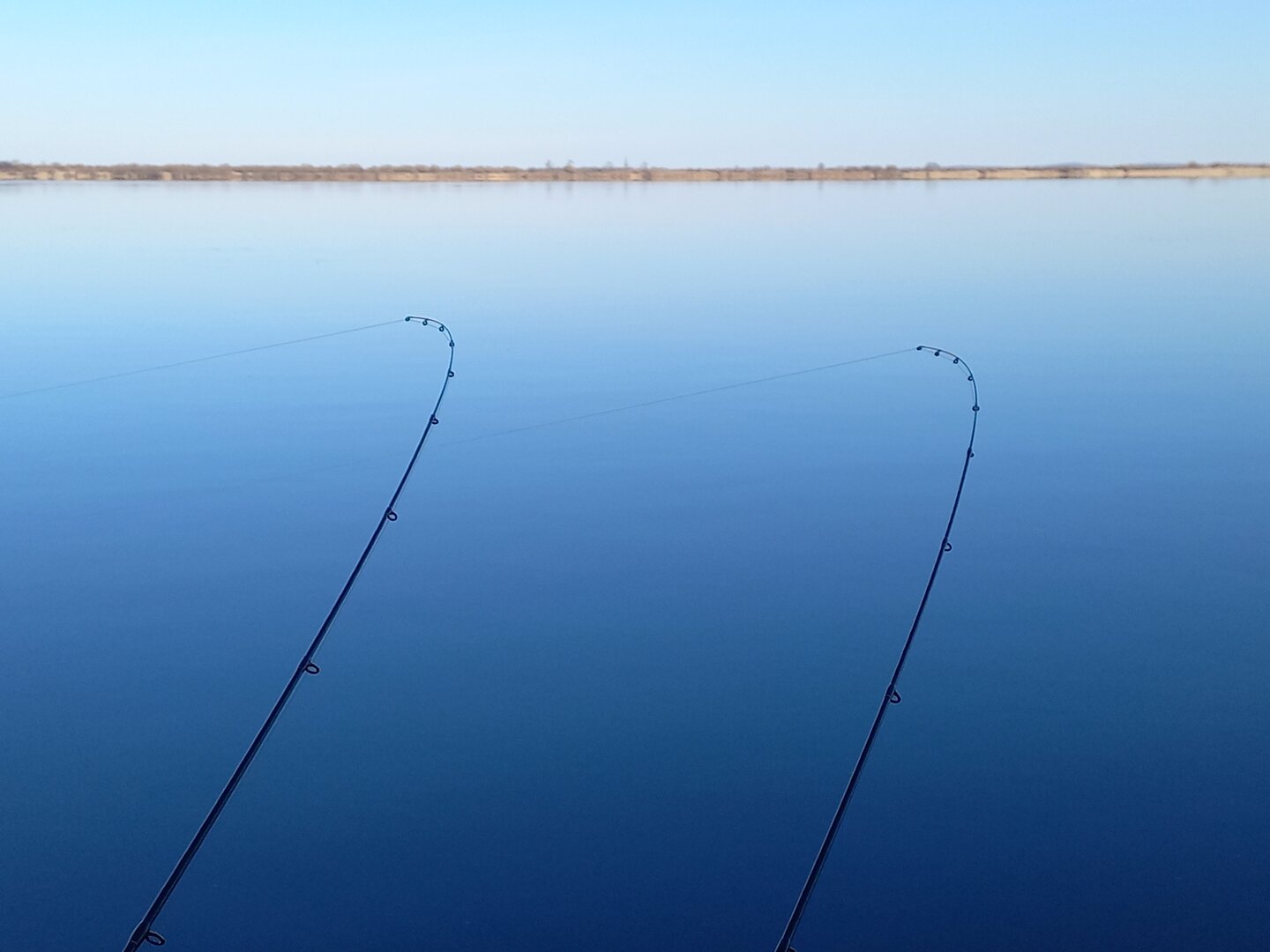 20261029_103912.jpg