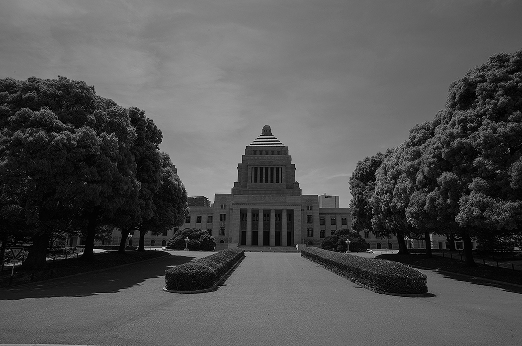 203.jpg