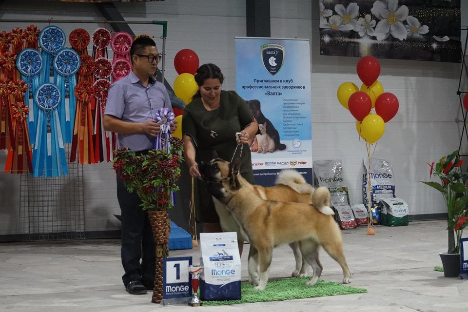 21616420_863621873805938_5837721251514849967_n (1).jpg