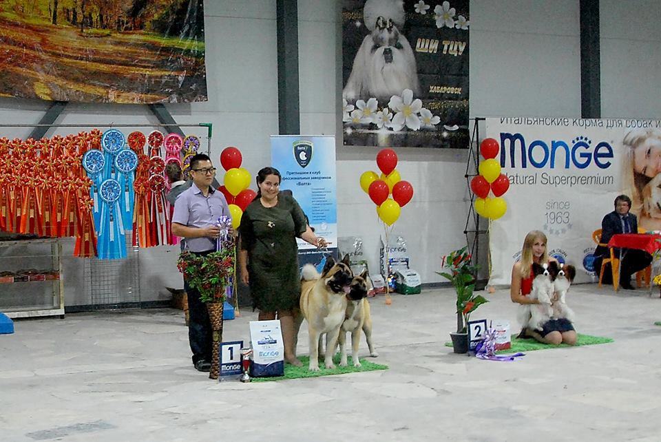 21761487_1720731097960543_7898335763942366658_n (1).jpg