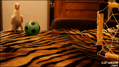21b401a67e4e5a3c95b1dc2e1f372fd9.gif