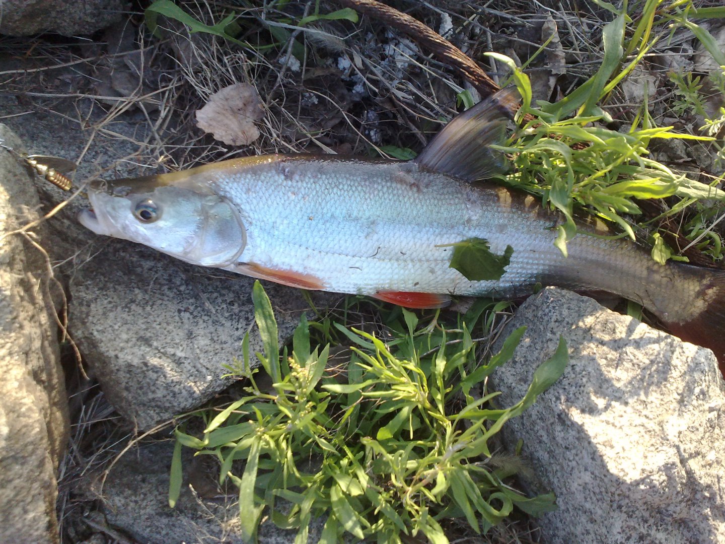 220520163457.jpg