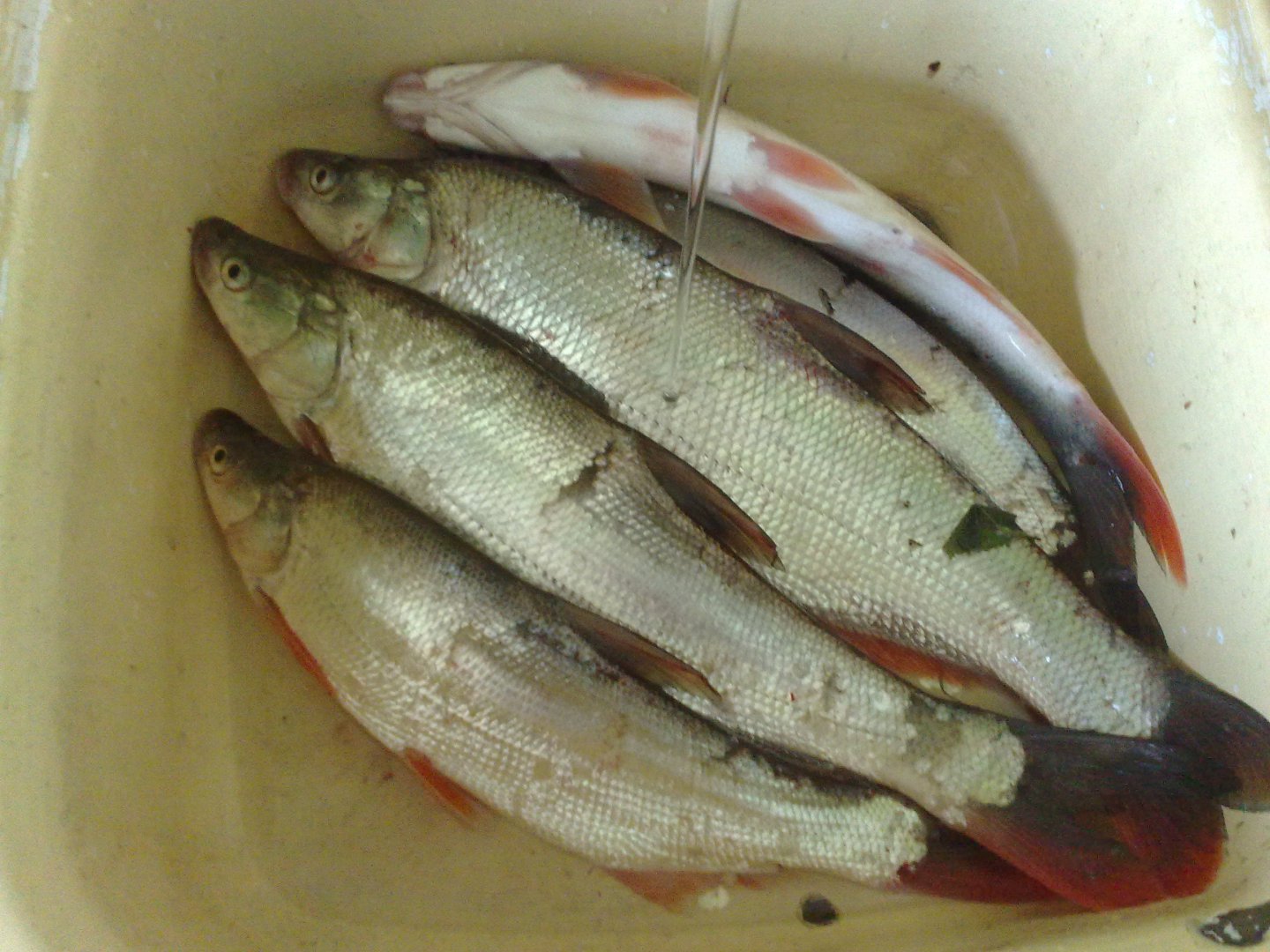 220520163465.jpg