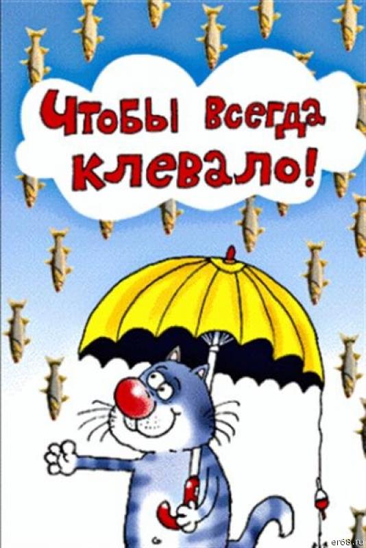 222.jpg