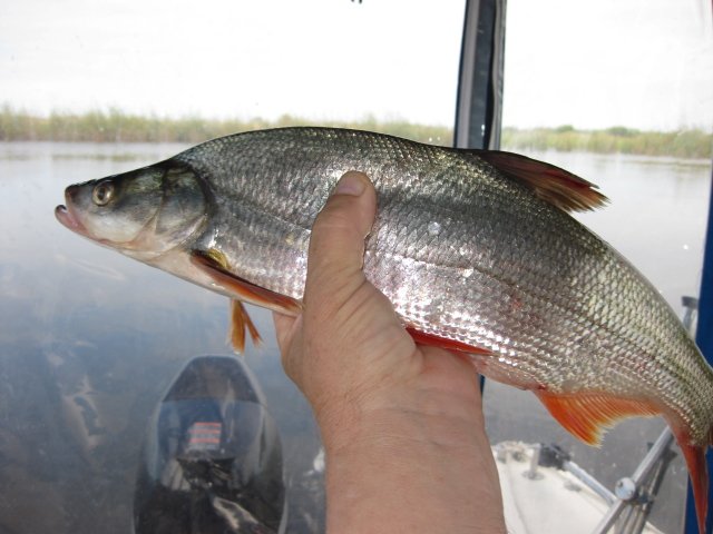 226005_24334.jpg