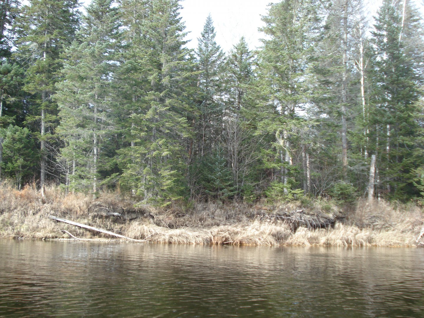 230.JPG