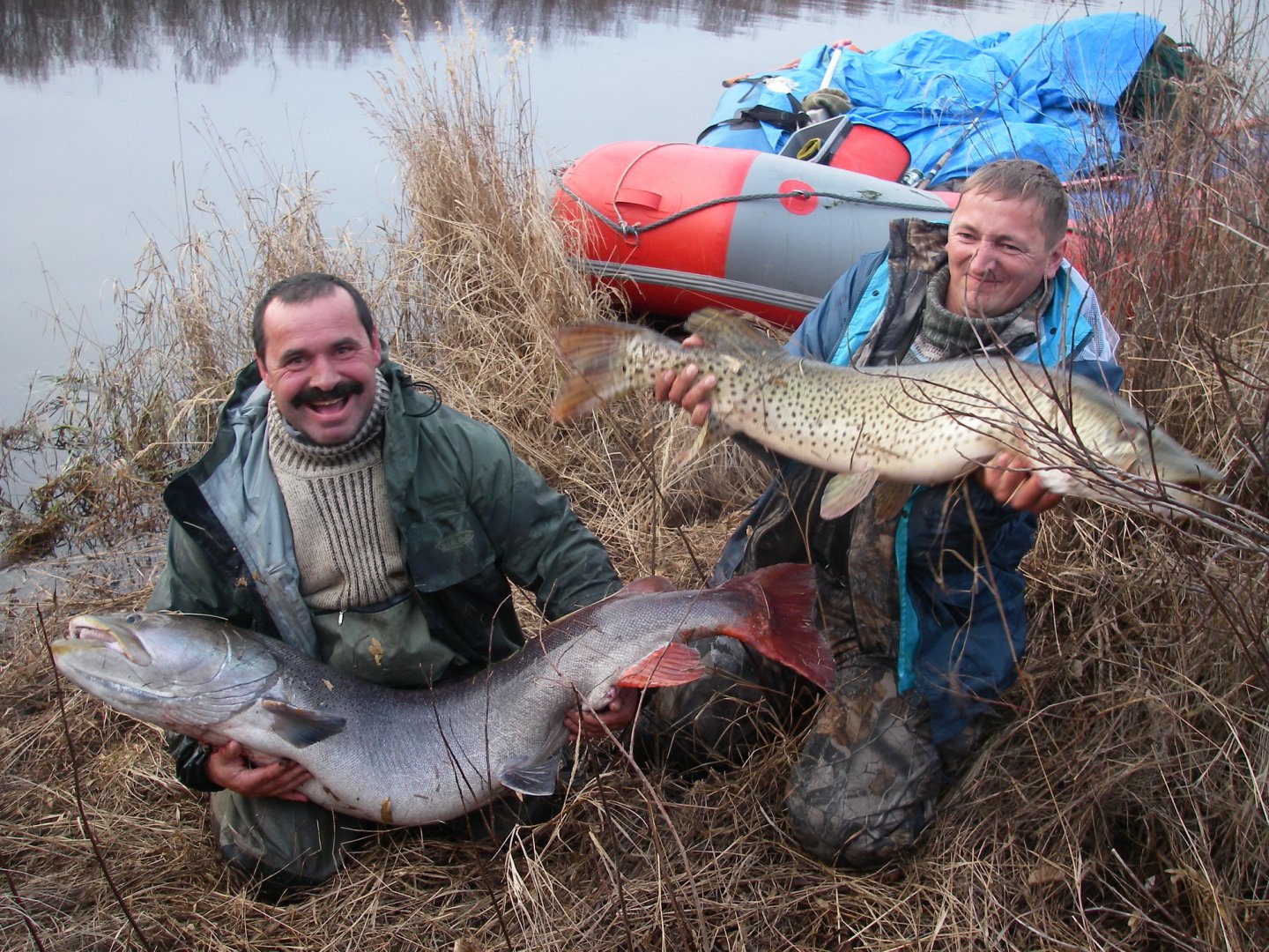 239_новый размер.JPG