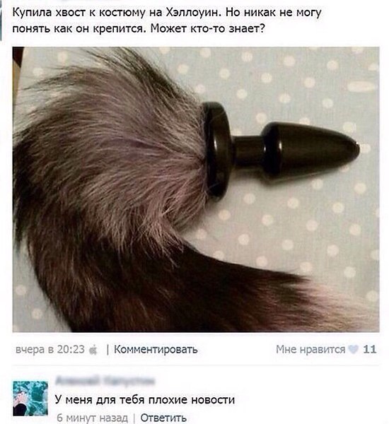 2441125712.jpg