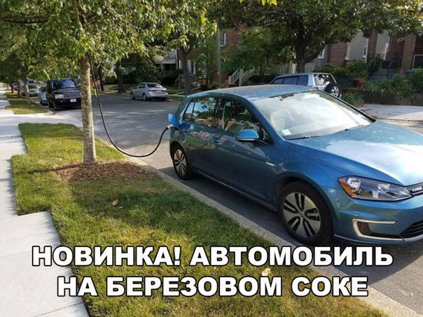 24453442.jpg