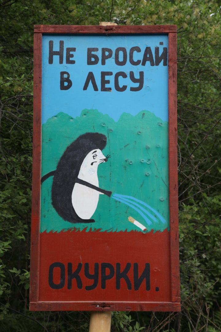 250.jpg