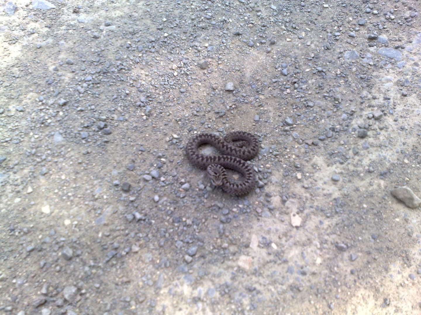 250820132103.jpg