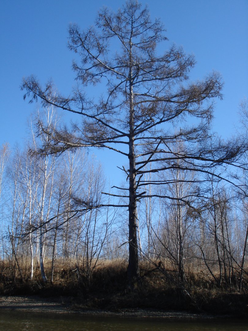 256.JPG