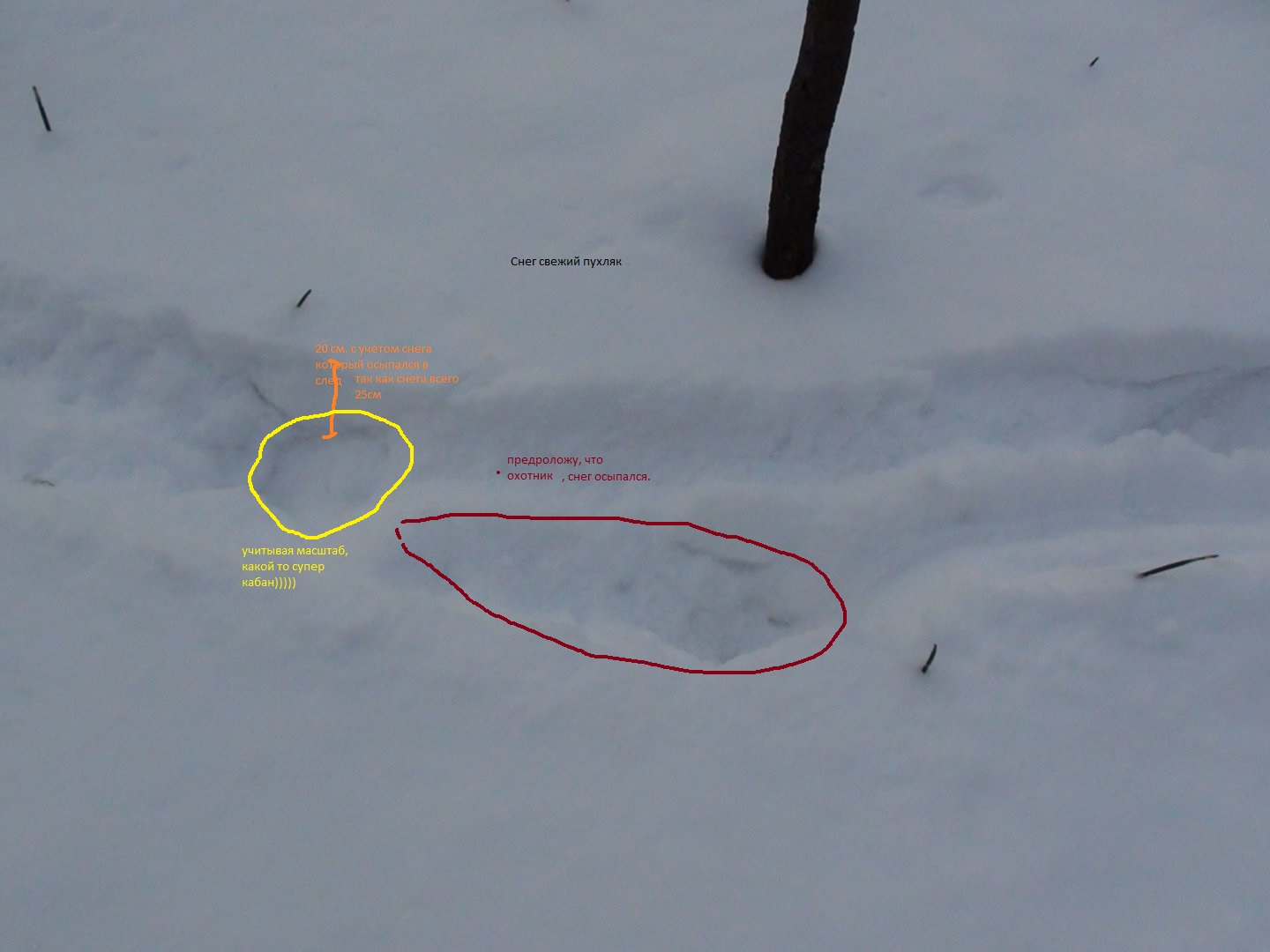 25см человек.jpg