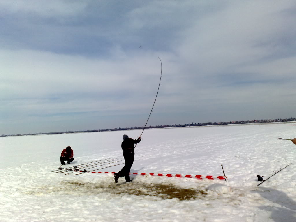 26022012713.jpg