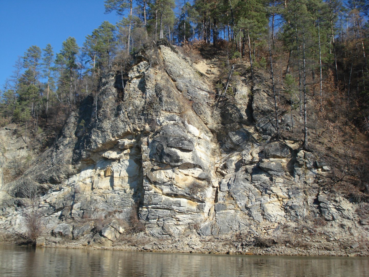 263.JPG