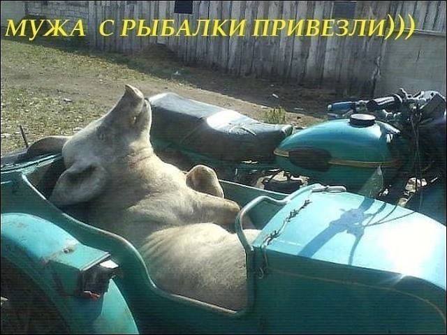 26955790_m.jpg