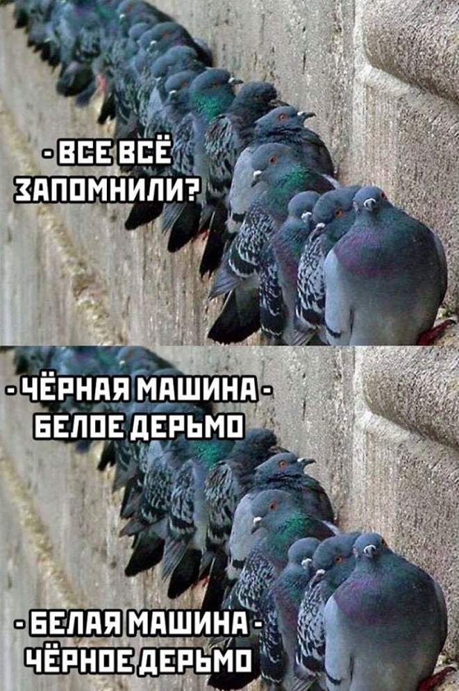 26f21CvzwDA.jpg