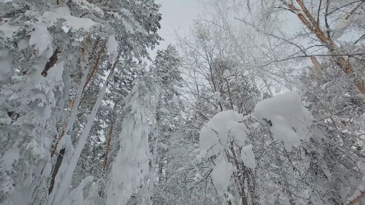 27 Изумительная природа ДВ Ульянов Евгений.jpg