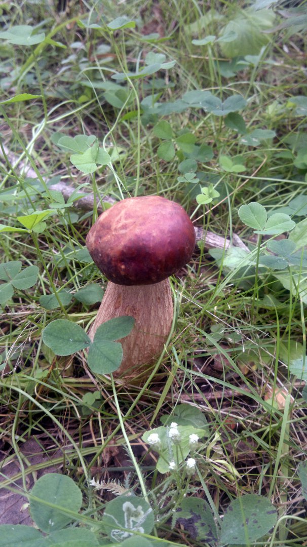 28082015026.jpg