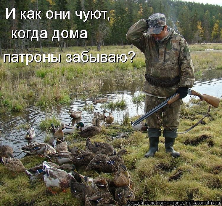 281.jpg