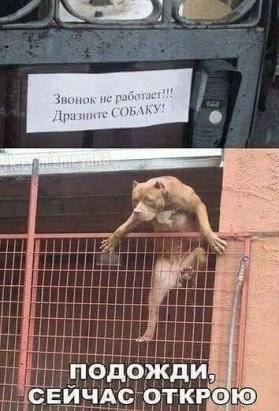 29139454_m.jpg