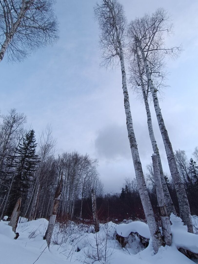 2BCE5804-E652-4CBE-9E4A-2776119F3DDA.jpeg