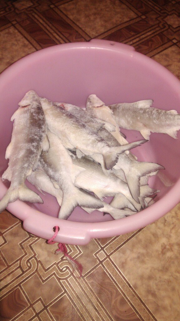 2CpxjPs6P58.jpg