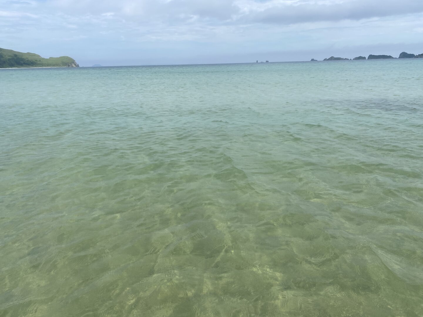 2F09C712-1330-42D5-A3DF-0E93DFD2462F.jpeg