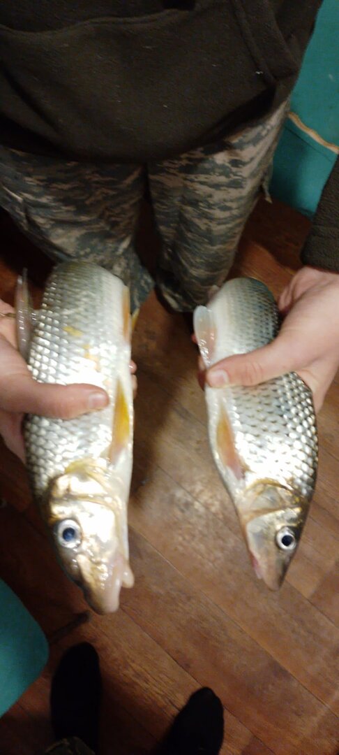 2f40f2c5-6607-4334-a945-d4b85560d3b7.jpg