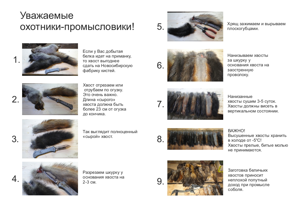 2Хвосты,загот.подгот..jpg