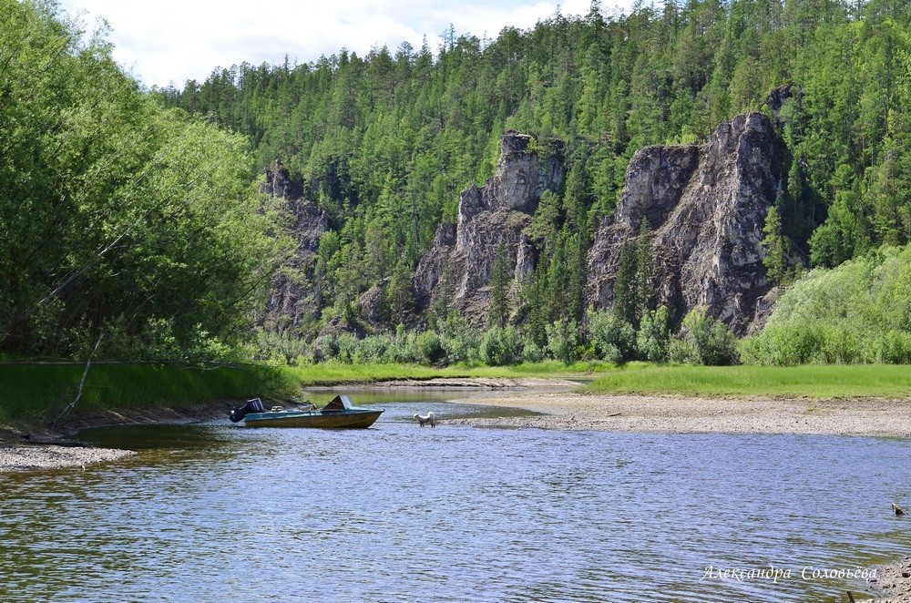 Река мая