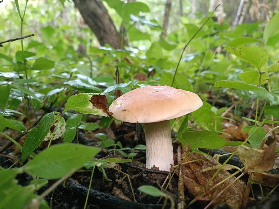 3.jpg