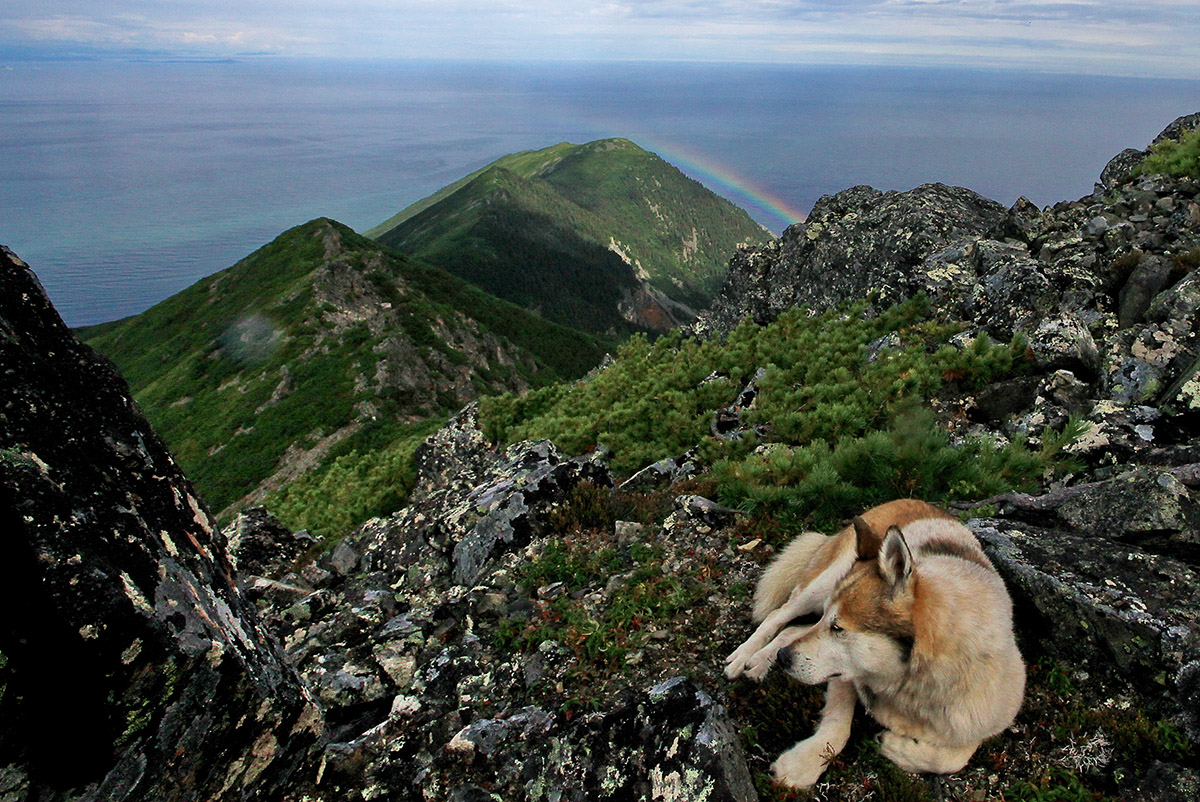 3 место Радуга под нами Балашов Пейзаж_.jpg