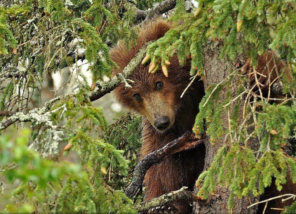 30.jpg