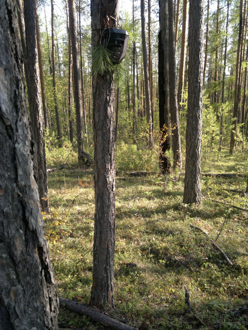 300820142240.jpg