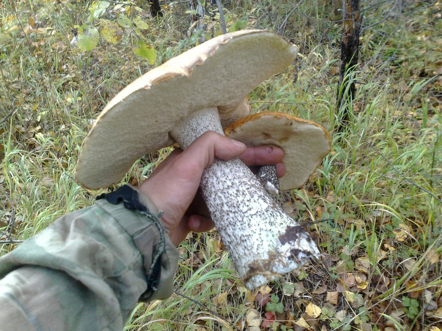 300920121554.jpg