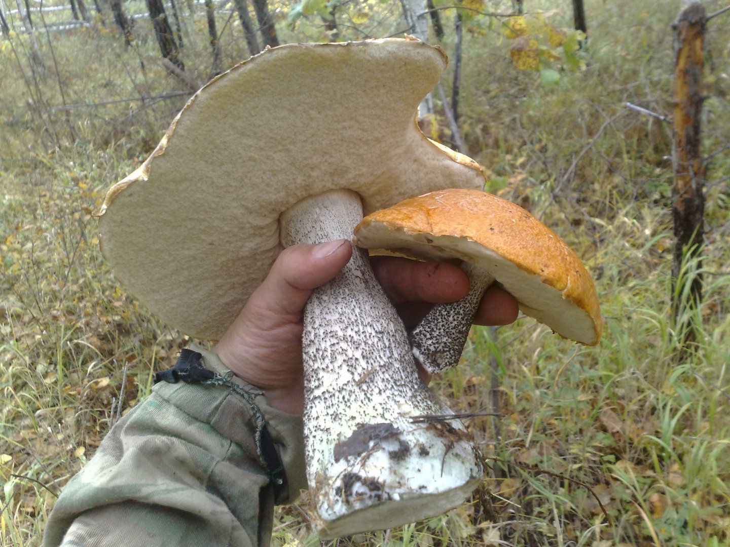 300920121555.jpg