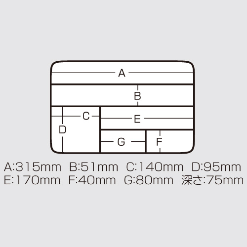 3055 measurements.jpg