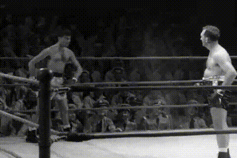 31f8d46a7a1ae069487882fd875e524a0401a8f1fe.gif