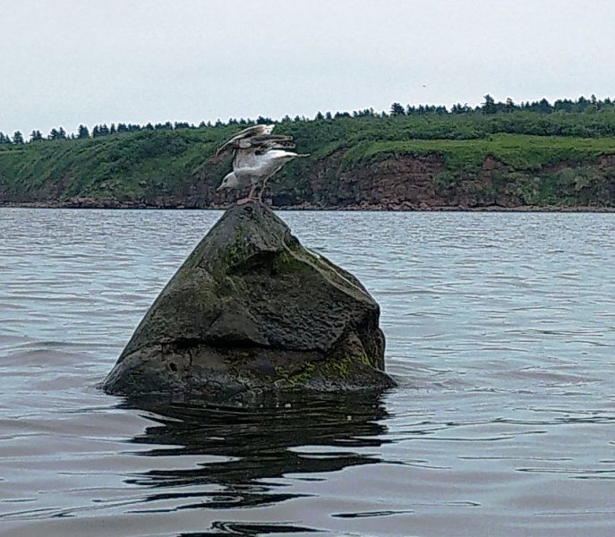 34.jpg