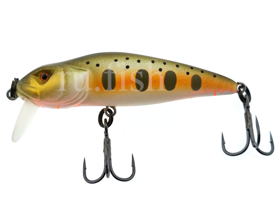 3468_asakura_bullhead_srs_751_main.jpg