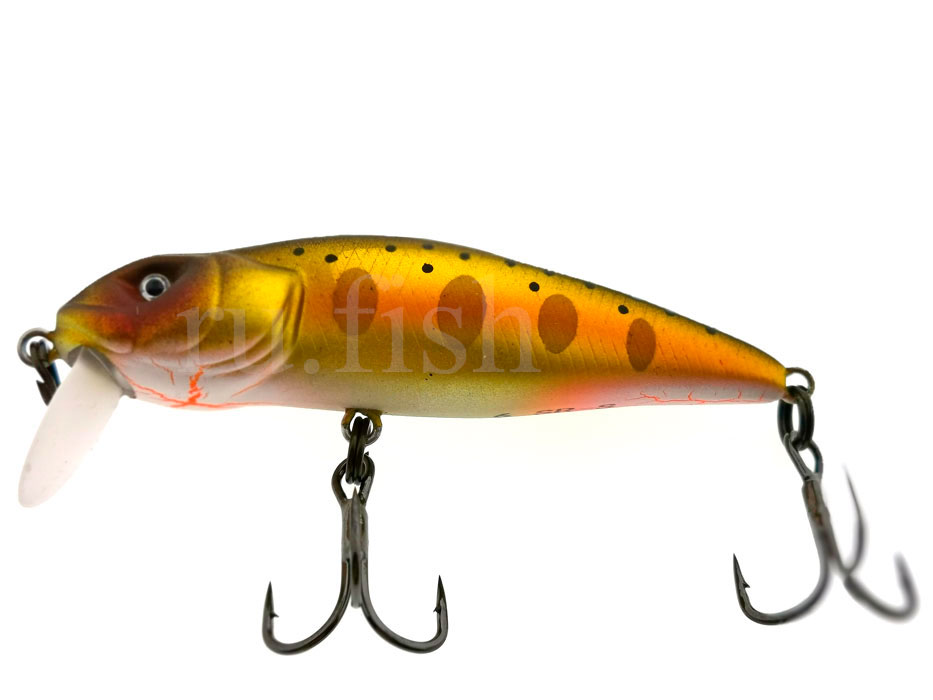 3468_asakura_bullhead_srs_775_main.jpg