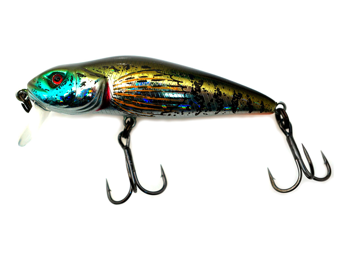 3470_asakura_bullhead_150_2.jpg